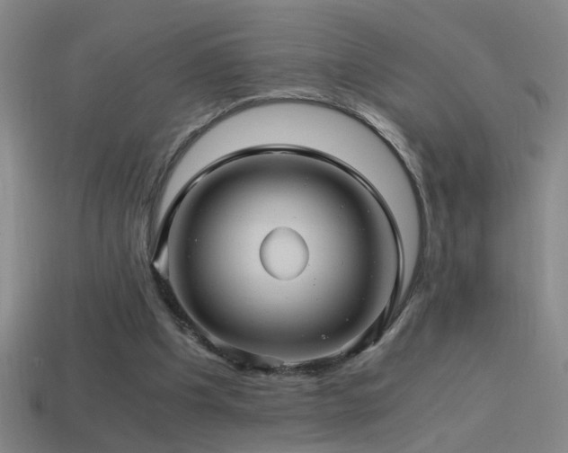 X0000114390201200910161301