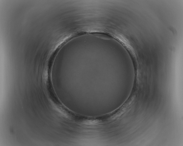 X0000114390202200910161301