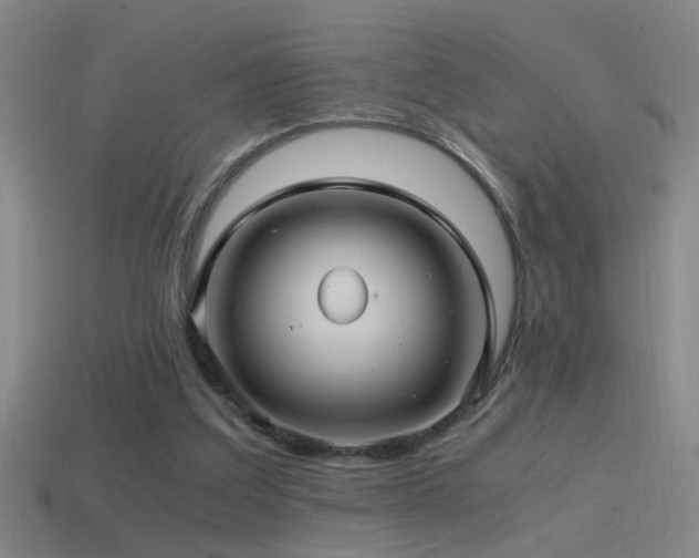X0000114390203200910161301