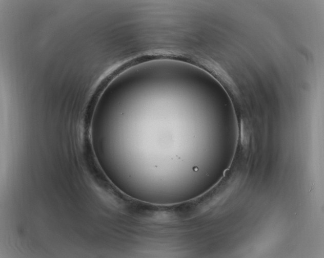 X0000114390204200910161301