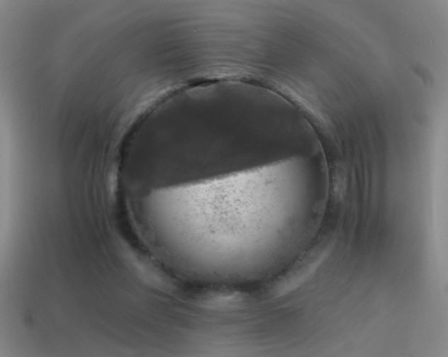 X0000114390206200910161301