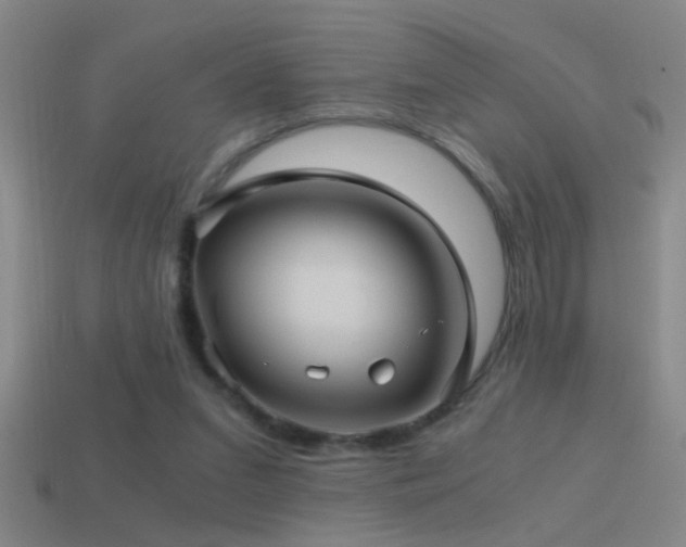 X0000114390207200910161301