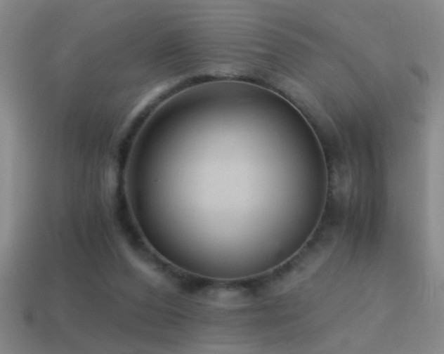 X0000114390208200910161301