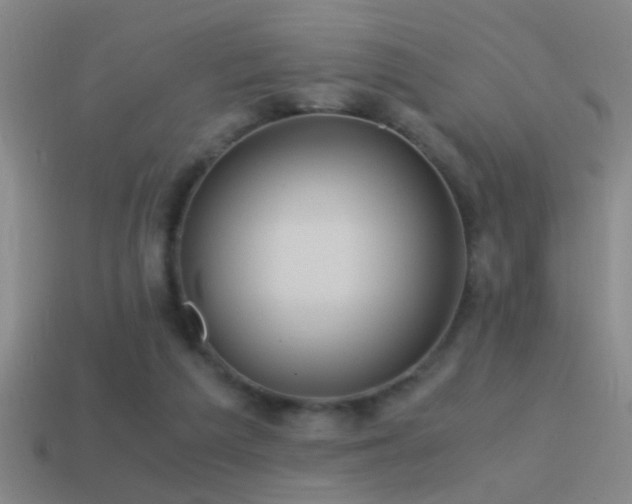 X0000114390209200910161301