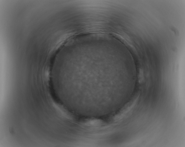 X0000114390210200910161301