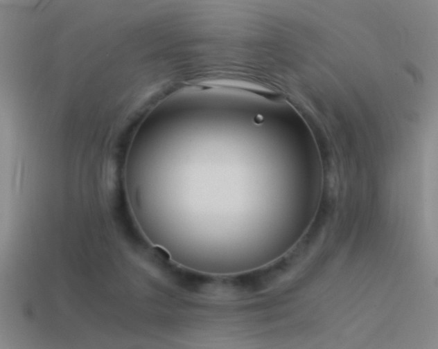 X0000114390211200910161301