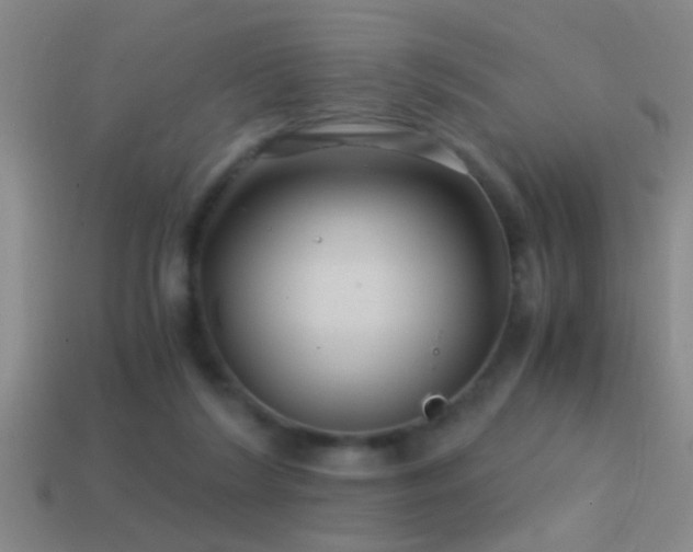 X0000114390212200910161301