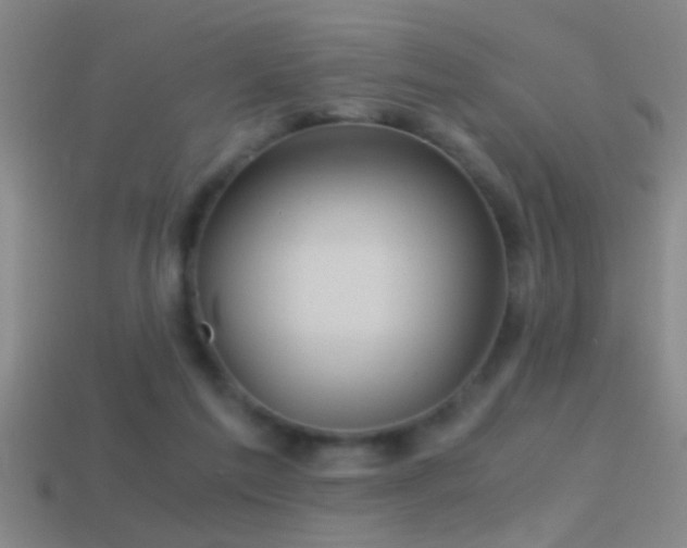 X0000114390213200910161301