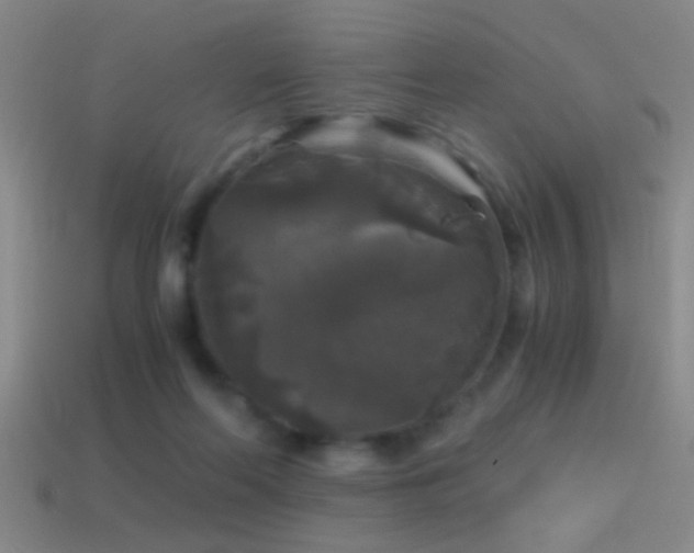 X0000114390214200910161301