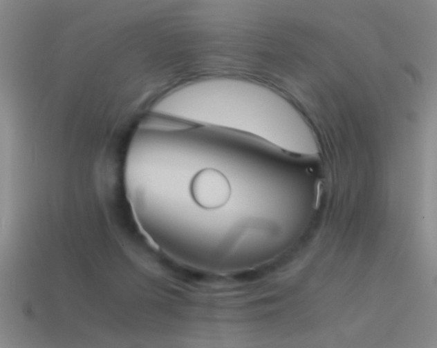 X0000114390215200910161301