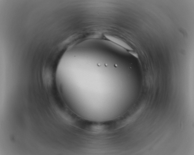 X0000114390216200910161301