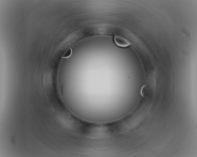 X0000114390217200910161301
