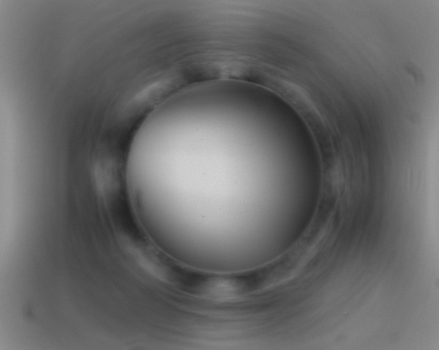X0000114390218200910161301