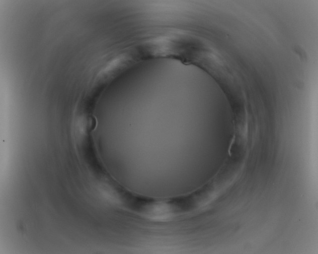X0000114390219200910161301