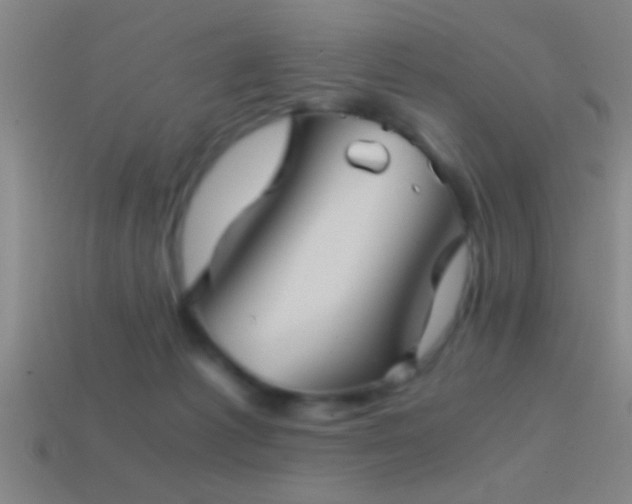 X0000114390221200910161301