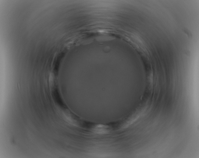 X0000114390222200910161301