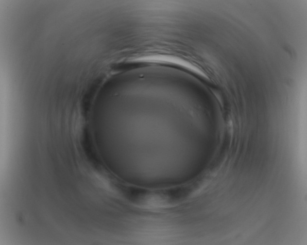 X0000114390223200910161301