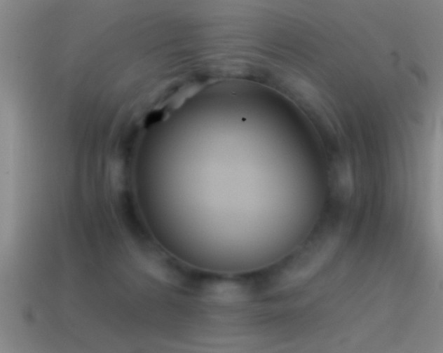 X0000114390224200910161301