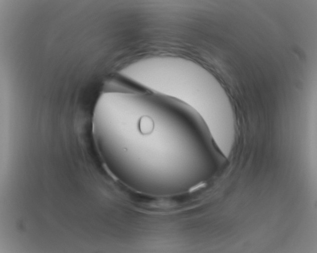 X0000114390225200910161301