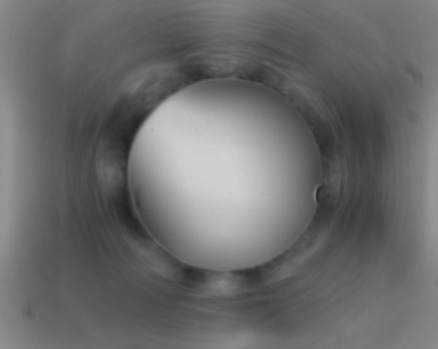 X0000114390226200910161301