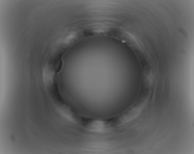 X0000114390227200910161301