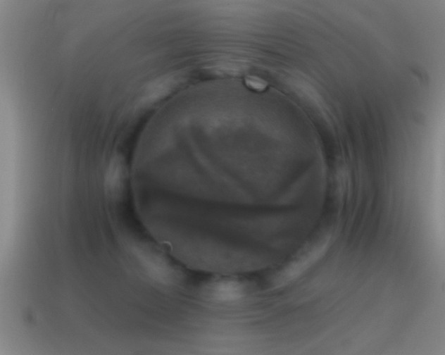 X0000114390228200910161301