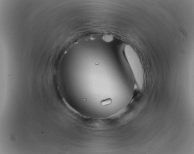 X0000114390229200910161301
