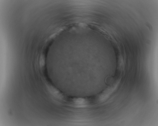 X0000114390230200910161301