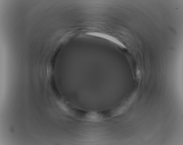 X0000114390231200910161301