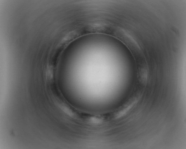 X0000114390232200910161301