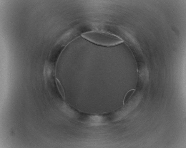 X0000114390233200910161301