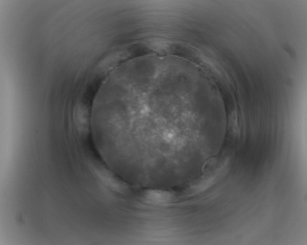X0000114390234200910161301