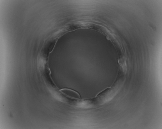 X0000114390235200910161301