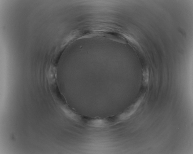 X0000114390237200910161301