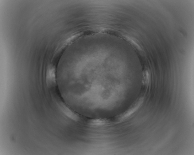 X0000114390238200910161301