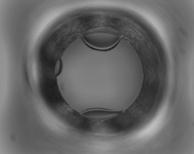 X0000114390239200910161300