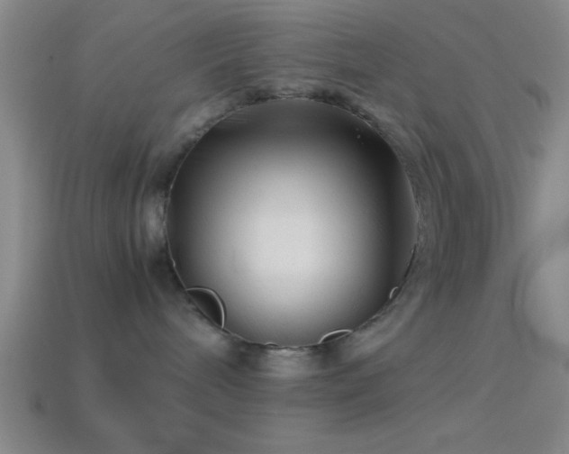 X0000114390240200910161300