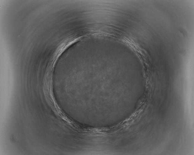 X0000114390241200910161300