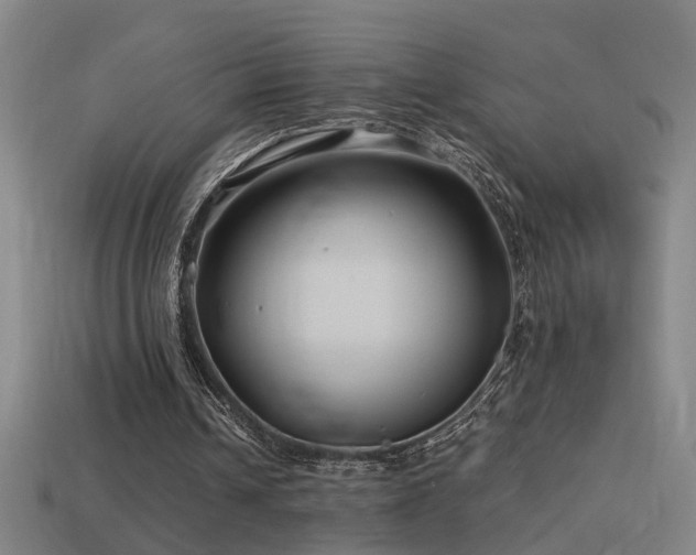 X0000114390242200910161300