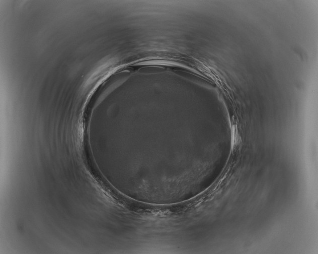 X0000114390243200910161300