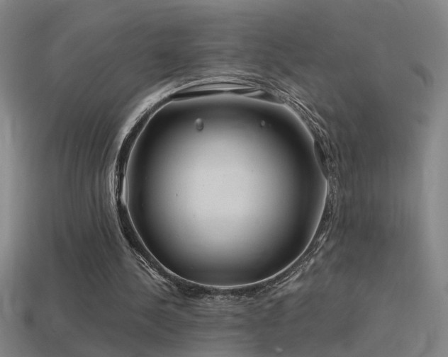 X0000114390244200910161300