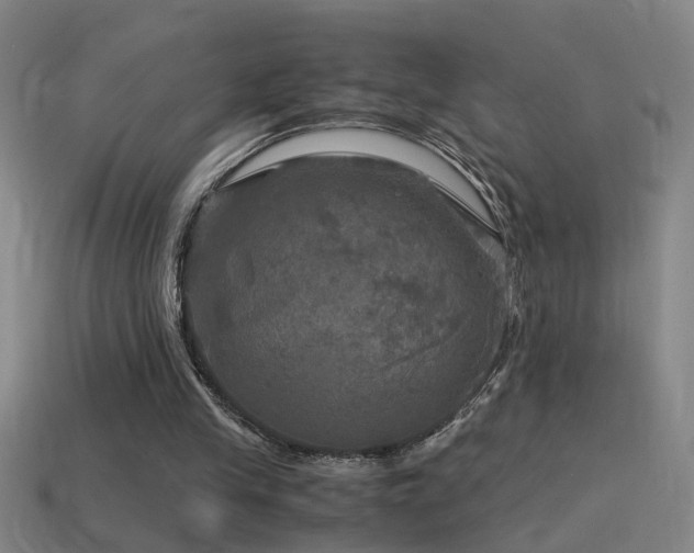 X0000114390245200910161300