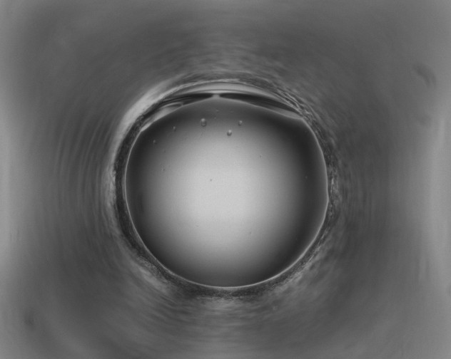 X0000114390246200910161300