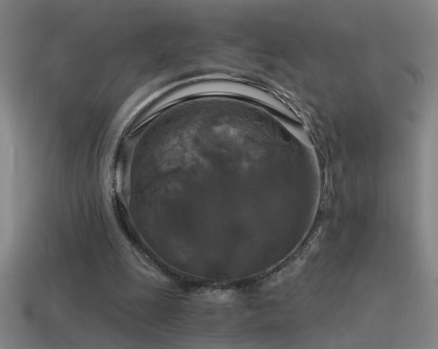 X0000114390247200910161300