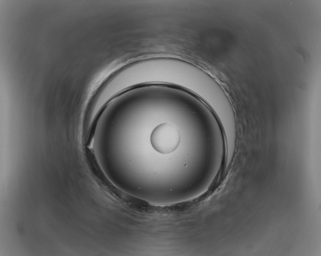 X0000114390248200910161300