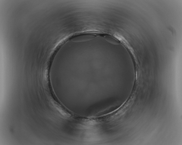 X0000114390249200910161300