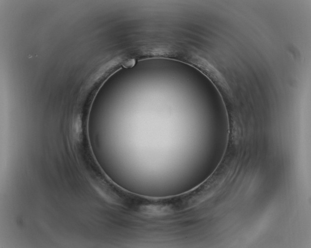 X0000114390251200910161300