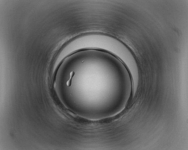 X0000114390252200910161300