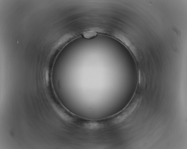 X0000114390253200910161300