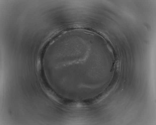 X0000114390254200910161300